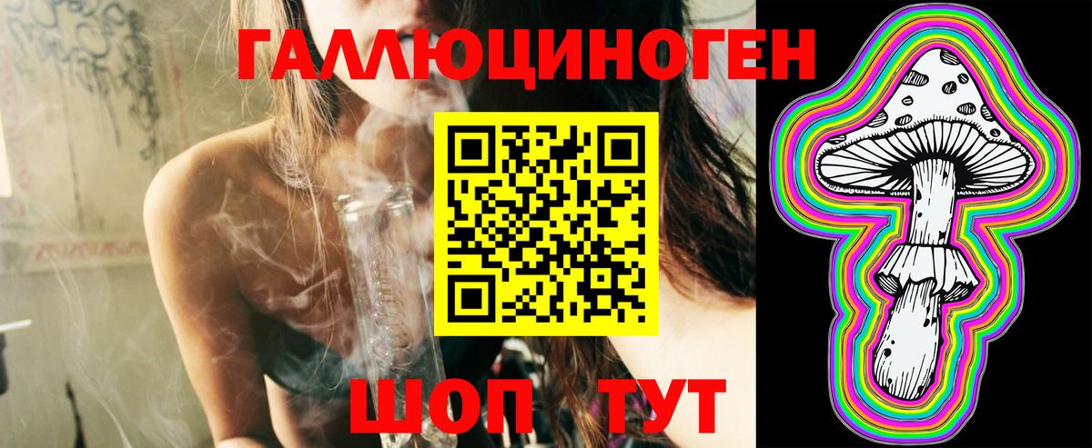 Галлюциногенные грибы Psilocybe Видное
