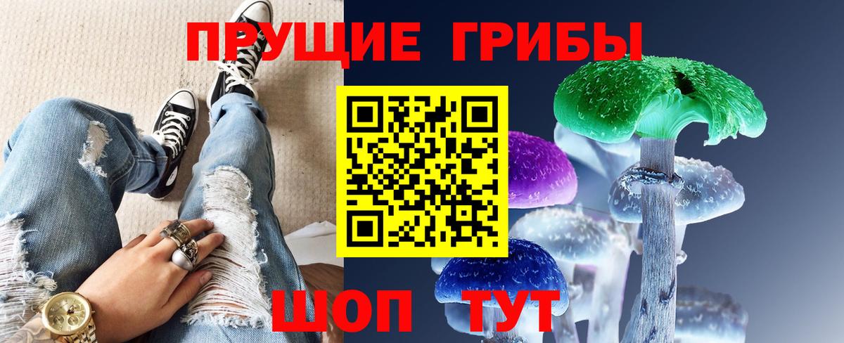 Видное  Псилоцибиновые грибы мицелий  Псилоцибиновые грибы GOLDEN TEACHER  Вход с VPN 